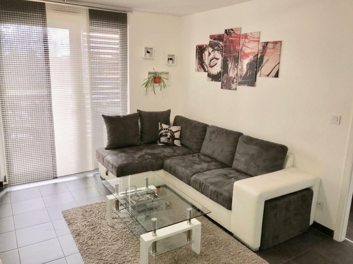 Le T2 Appartement Moderne Avec Terrasse Et Parking Στρασβούργο Εξωτερικό φωτογραφία